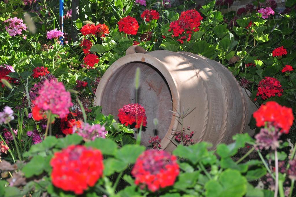 Petrino Otel Ambrami Dış mekan fotoğraf